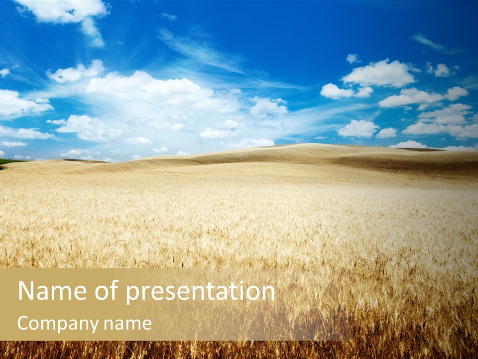 Cultivate Grain Autumn PowerPoint Template