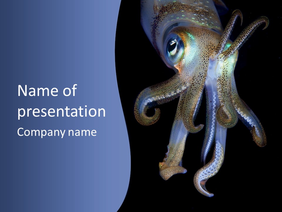 Sea Jewels Art Longfin Squid PowerPoint Template