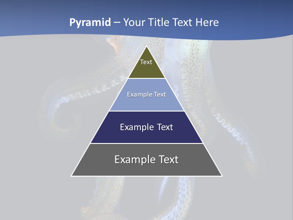 Sea Jewels Art Longfin Squid PowerPoint Template