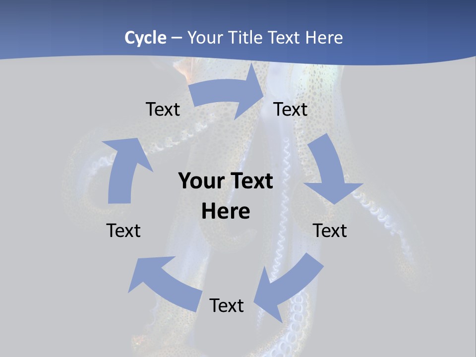 Sea Jewels Art Longfin Squid PowerPoint Template