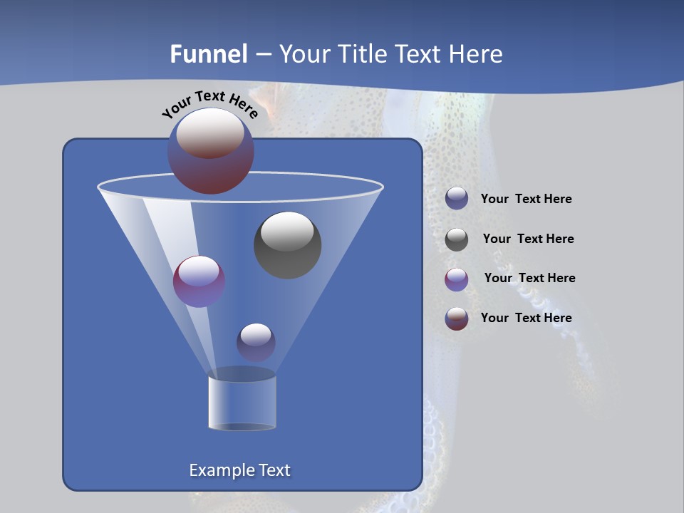 Sea Jewels Art Longfin Squid PowerPoint Template