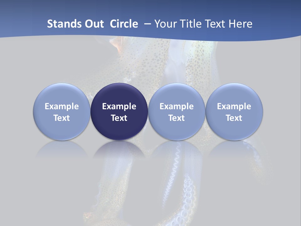 Sea Jewels Art Longfin Squid PowerPoint Template