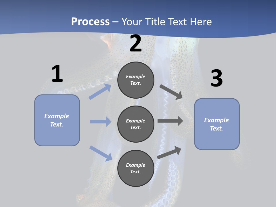 Sea Jewels Art Longfin Squid PowerPoint Template