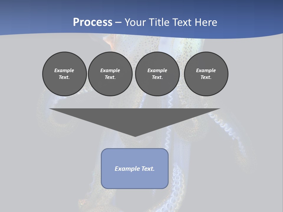 Sea Jewels Art Longfin Squid PowerPoint Template