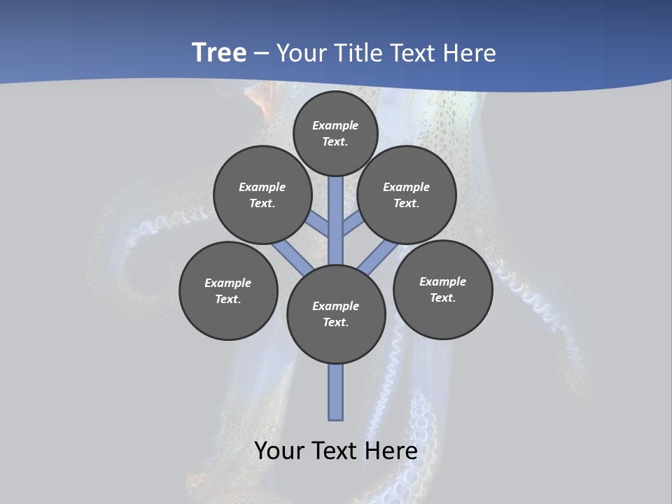 Sea Jewels Art Longfin Squid PowerPoint Template