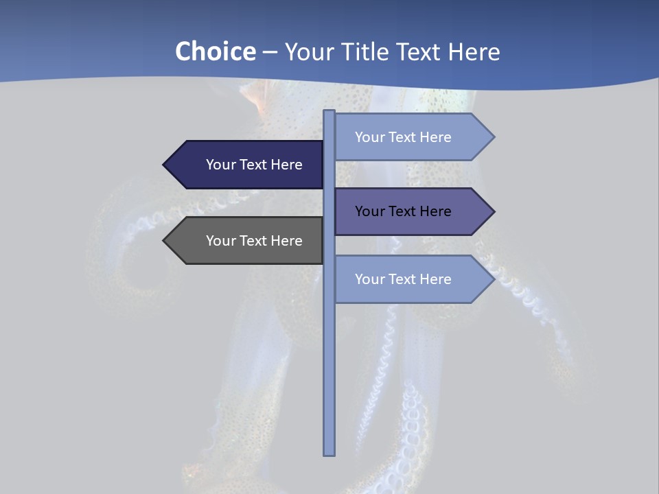 Sea Jewels Art Longfin Squid PowerPoint Template