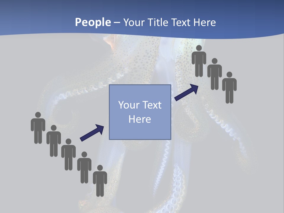 Sea Jewels Art Longfin Squid PowerPoint Template