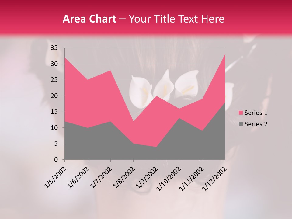 Updo Head Formal PowerPoint Template