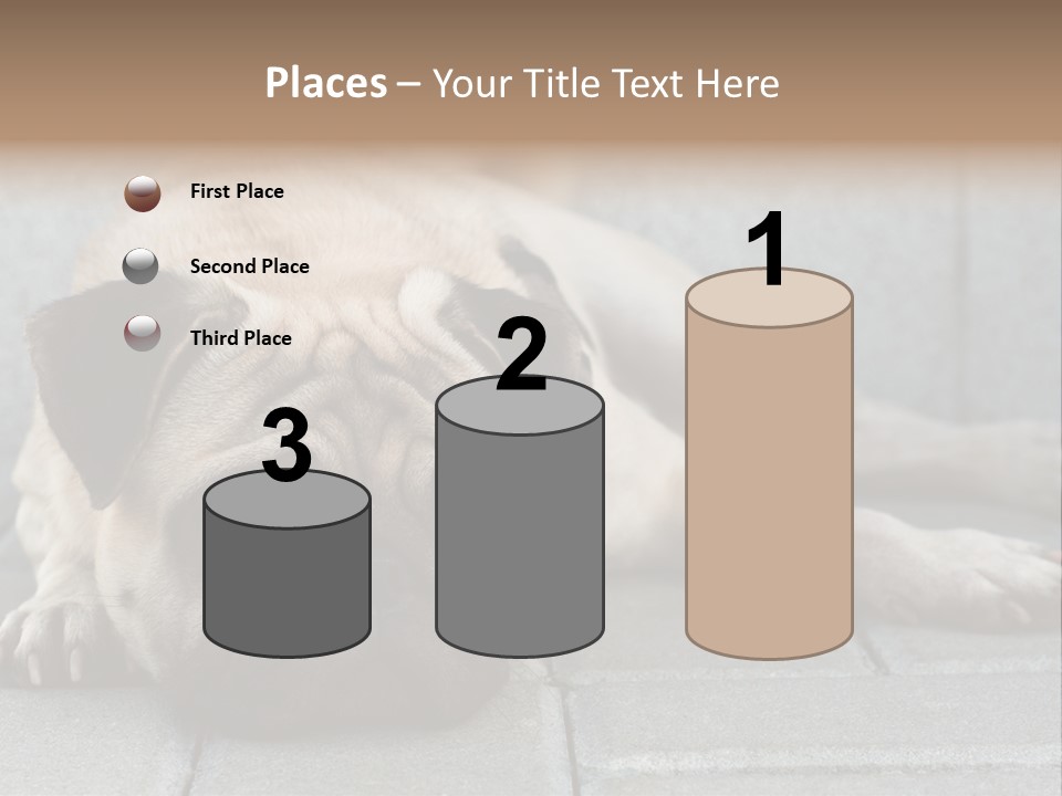 Domestic One Sitting PowerPoint Template
