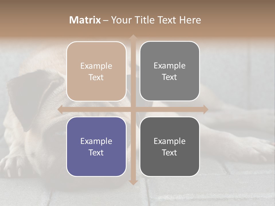 Domestic One Sitting PowerPoint Template