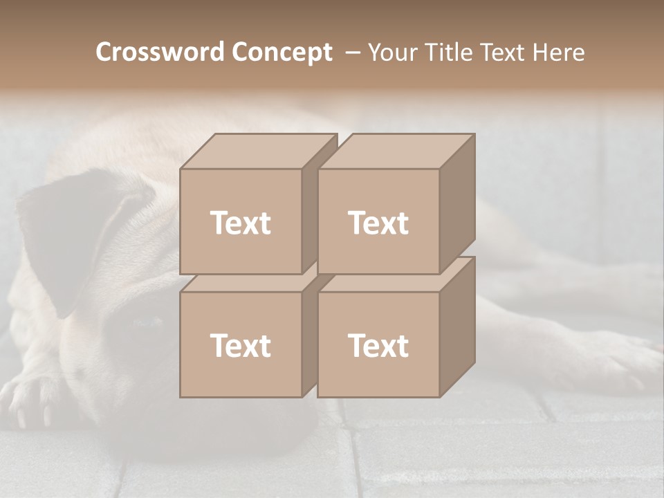 Domestic One Sitting PowerPoint Template