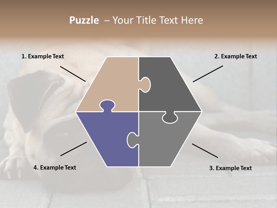 Domestic One Sitting PowerPoint Template