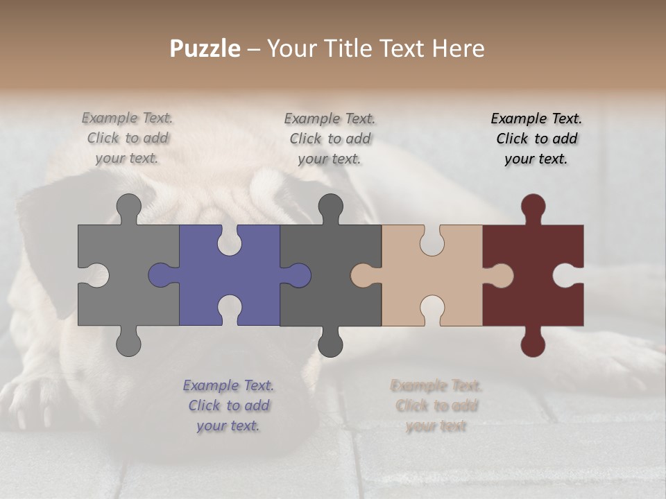 Domestic One Sitting PowerPoint Template