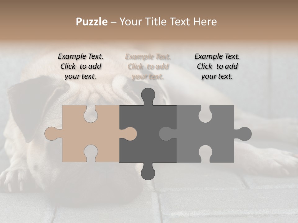 Domestic One Sitting PowerPoint Template