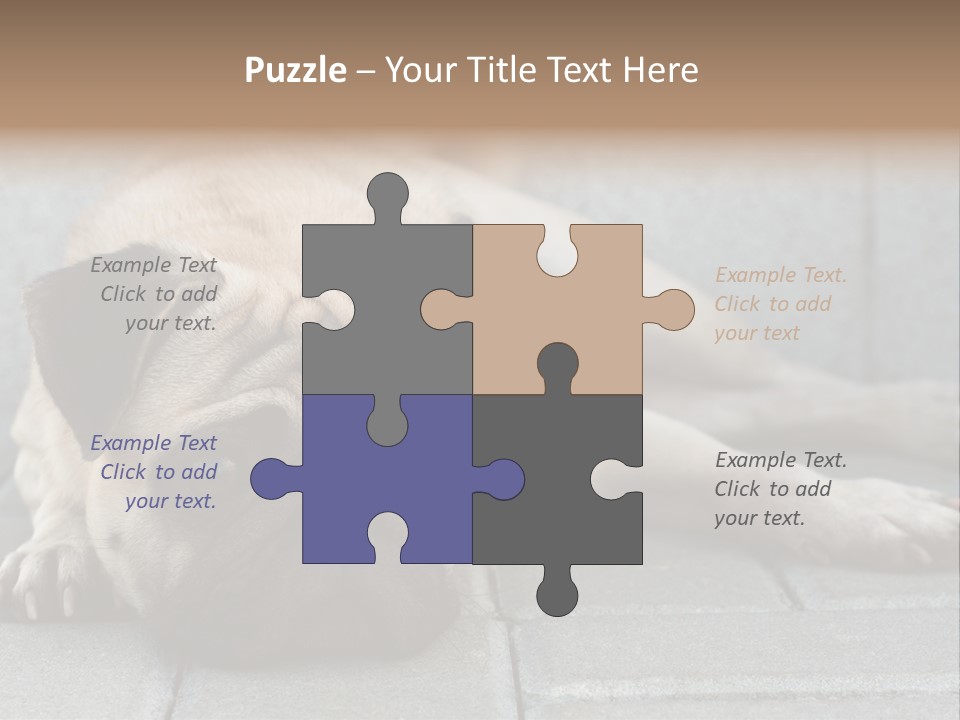 Domestic One Sitting PowerPoint Template