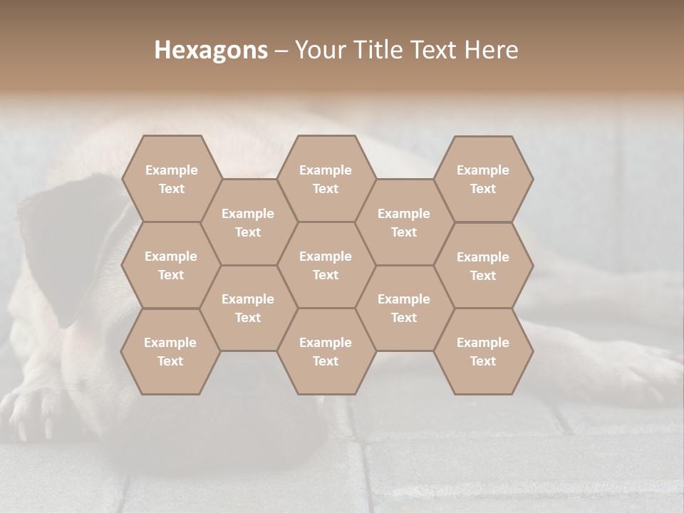 Domestic One Sitting PowerPoint Template