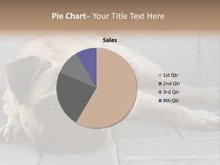 Domestic One Sitting PowerPoint Template