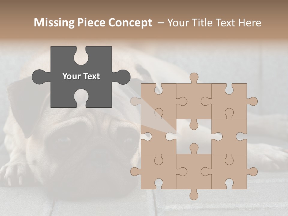 Domestic One Sitting PowerPoint Template