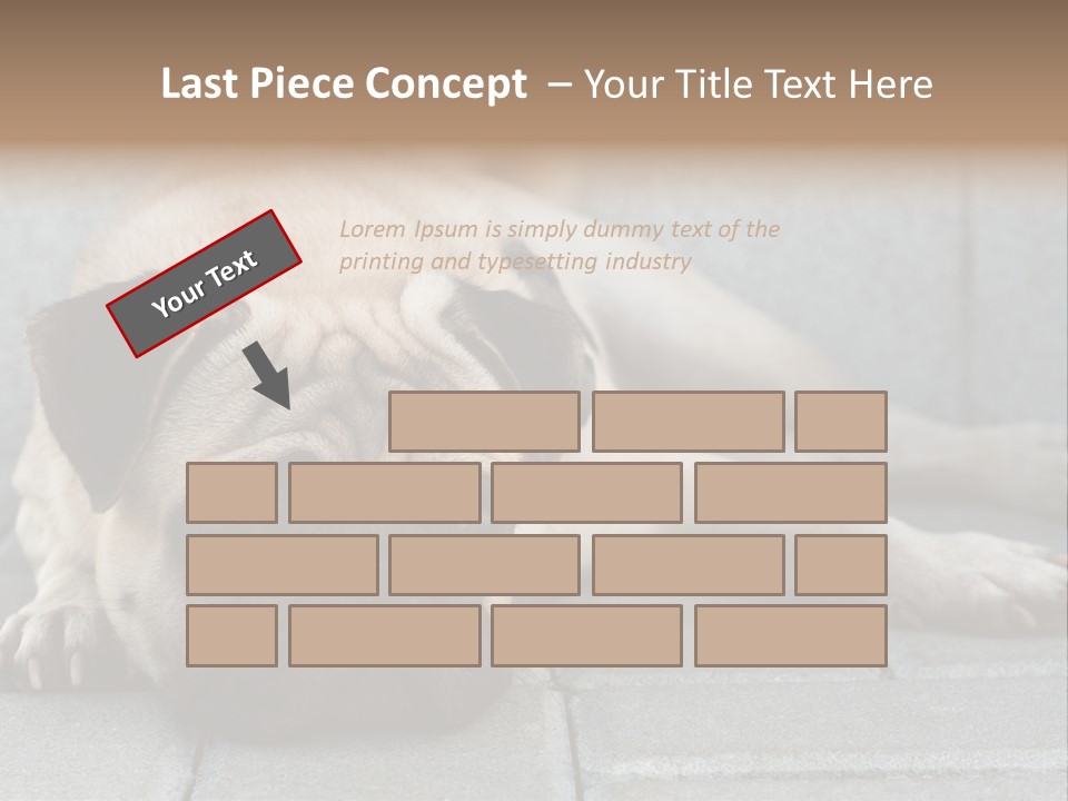 Domestic One Sitting PowerPoint Template