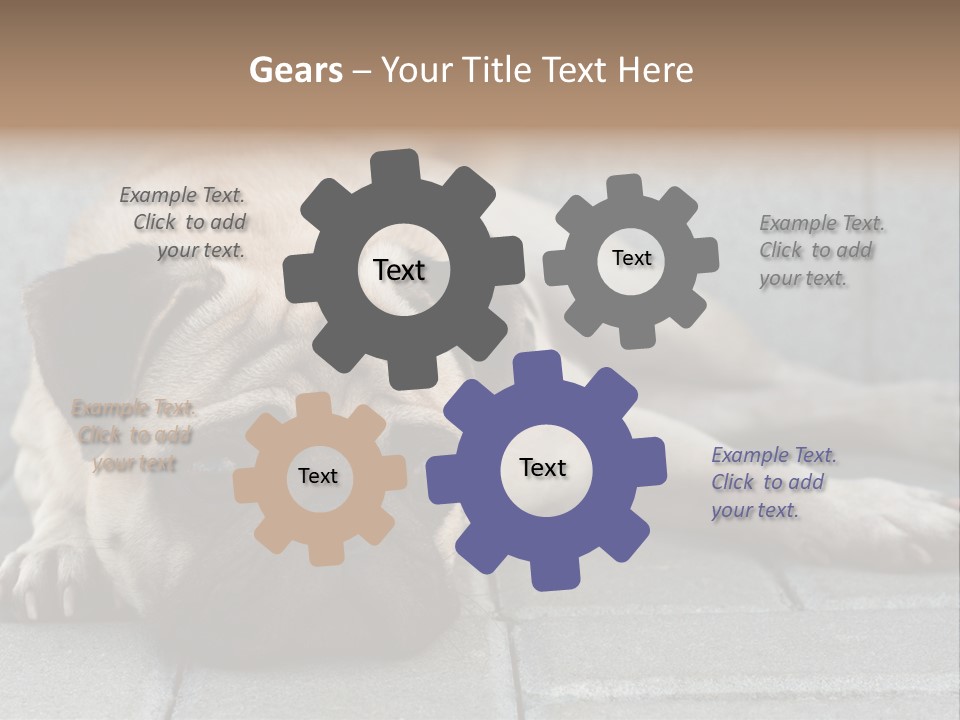 Domestic One Sitting PowerPoint Template