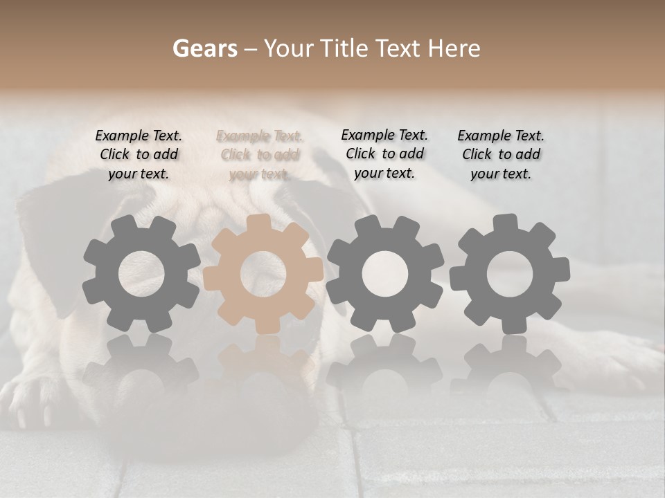 Domestic One Sitting PowerPoint Template