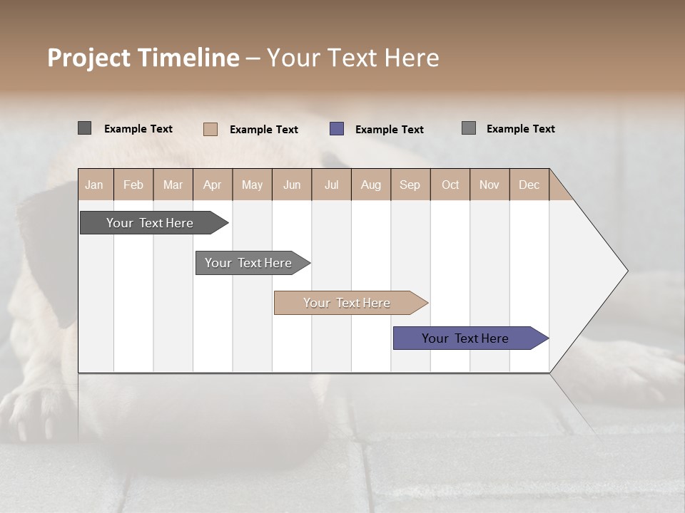 Domestic One Sitting PowerPoint Template
