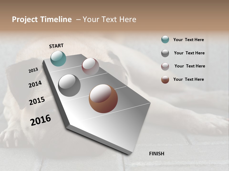 Domestic One Sitting PowerPoint Template