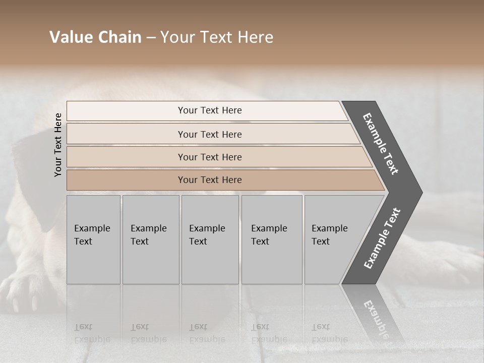 Domestic One Sitting PowerPoint Template