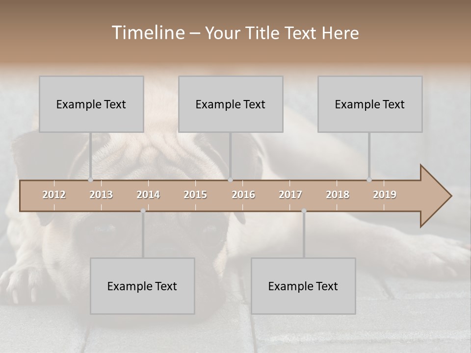 Domestic One Sitting PowerPoint Template