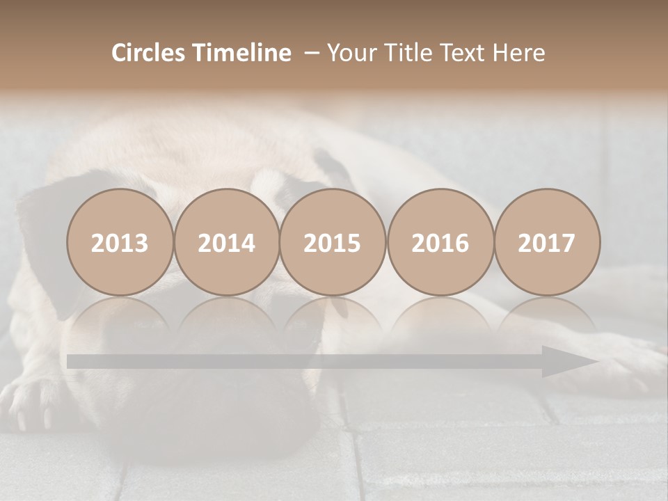 Domestic One Sitting PowerPoint Template