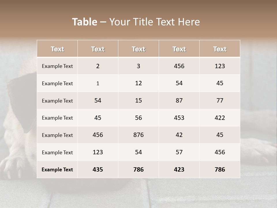 Domestic One Sitting PowerPoint Template