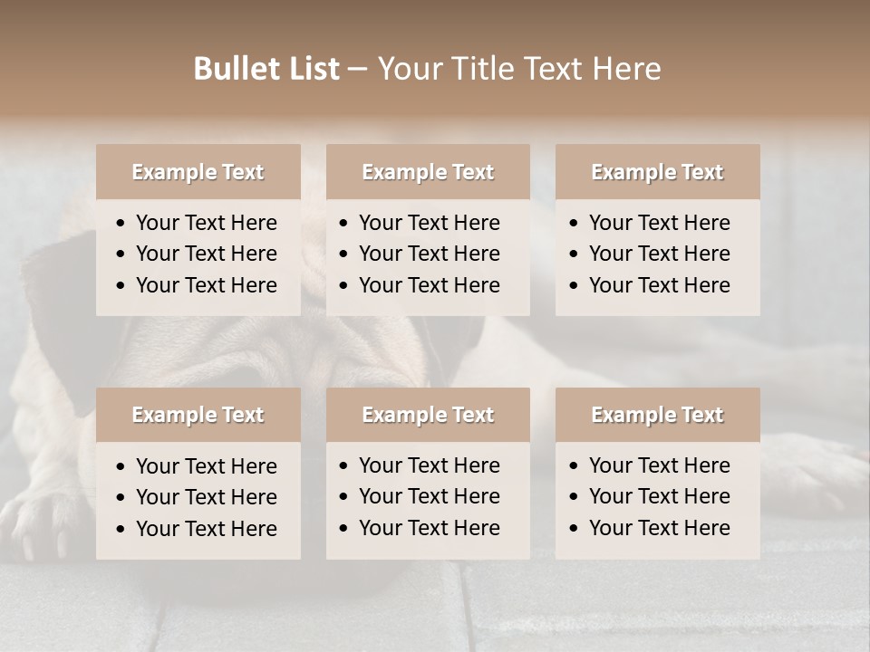 Domestic One Sitting PowerPoint Template