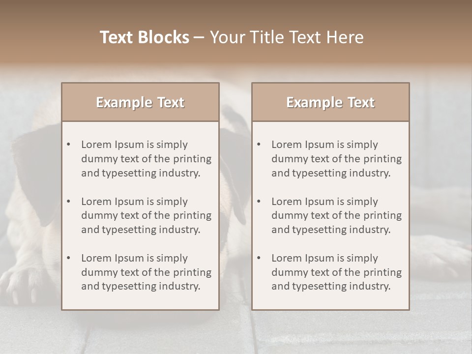 Domestic One Sitting PowerPoint Template