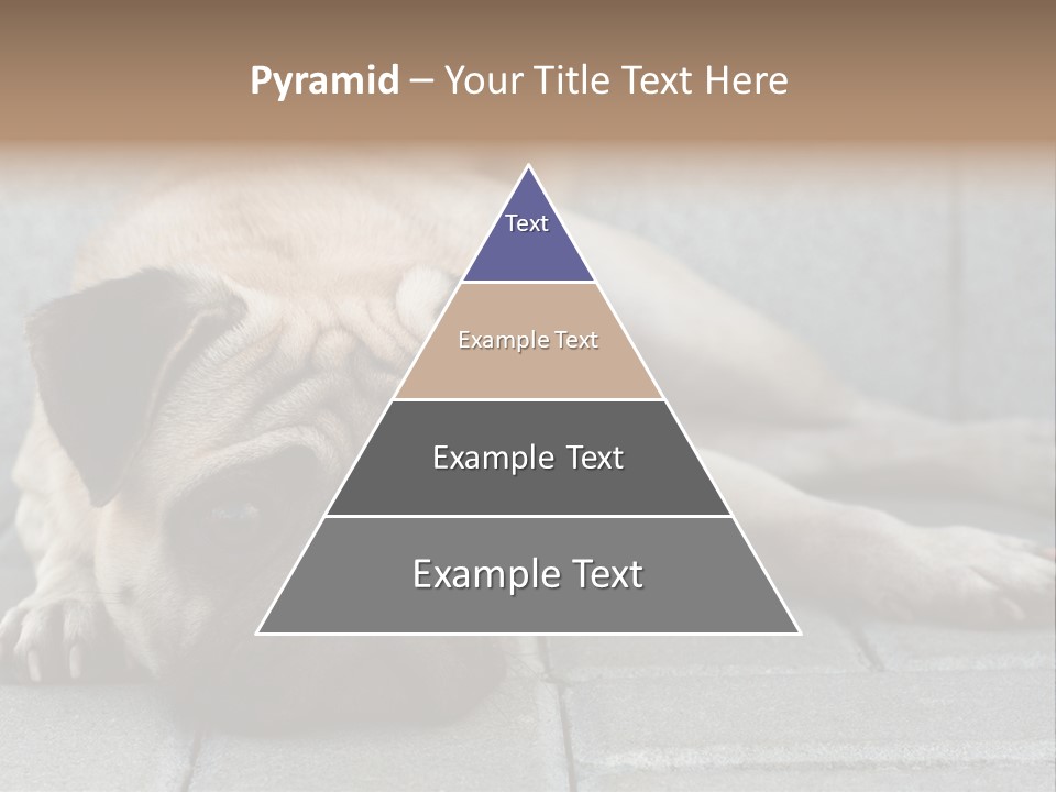 Domestic One Sitting PowerPoint Template