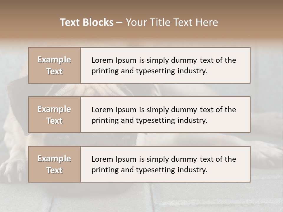 Domestic One Sitting PowerPoint Template