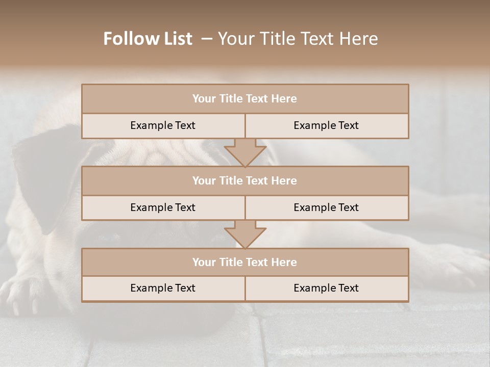 Domestic One Sitting PowerPoint Template