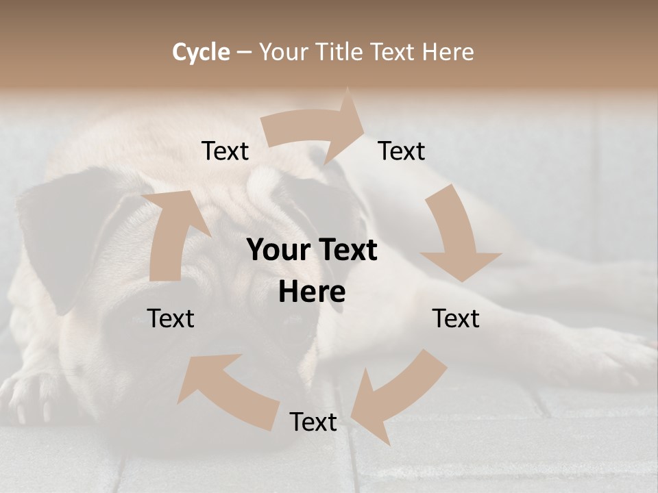 Domestic One Sitting PowerPoint Template