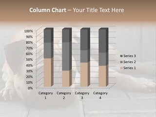 Domestic One Sitting PowerPoint Template