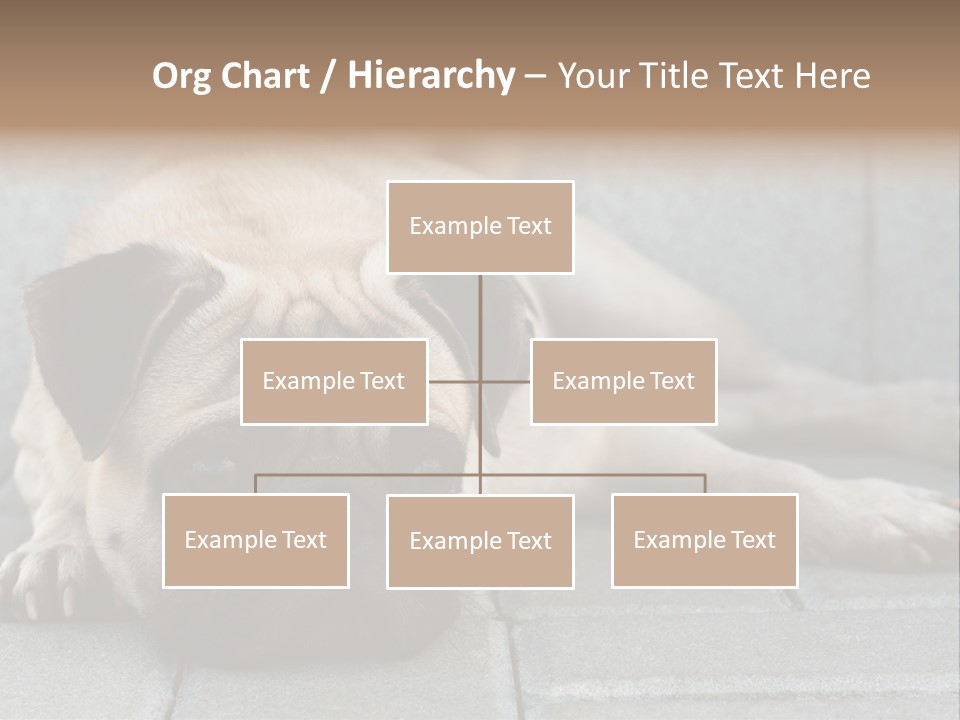 Domestic One Sitting PowerPoint Template