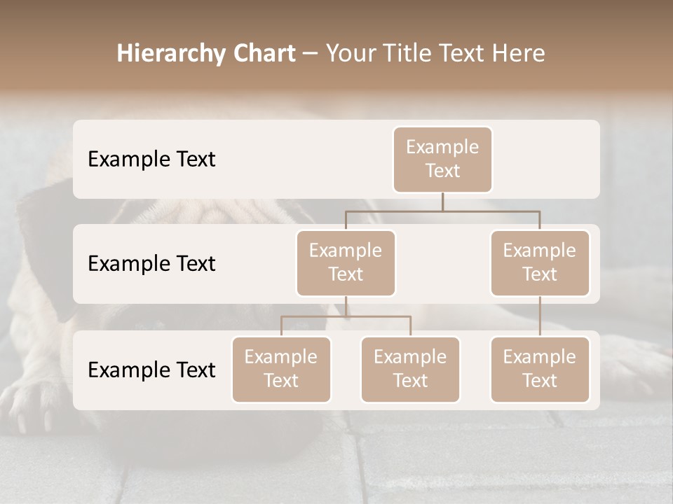 Domestic One Sitting PowerPoint Template