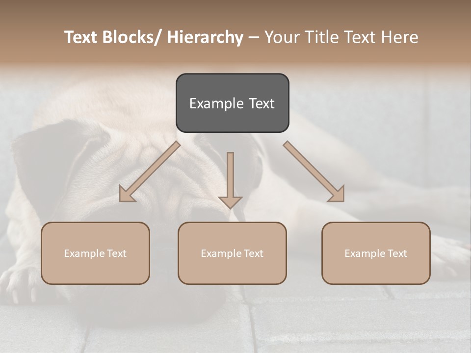 Domestic One Sitting PowerPoint Template