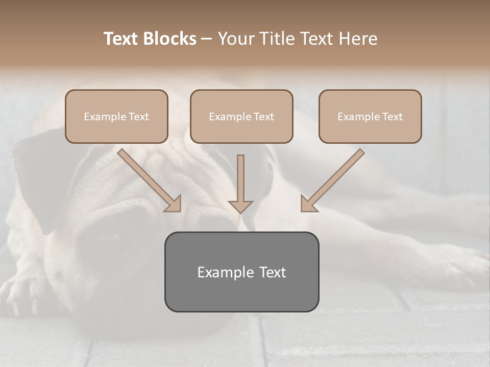 Domestic One Sitting PowerPoint Template