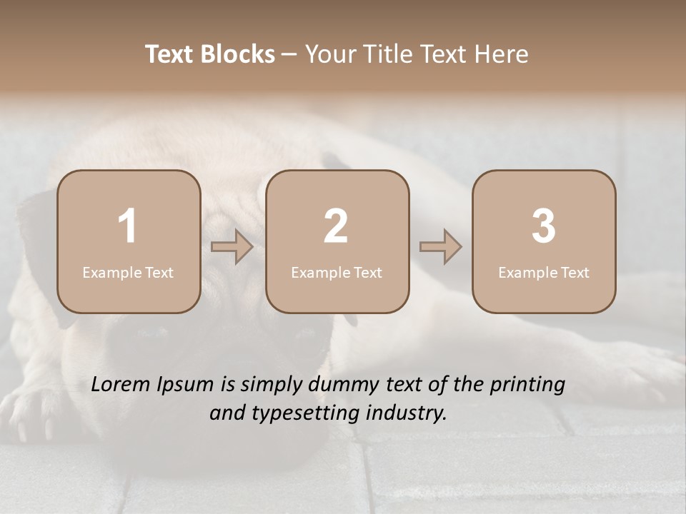 Domestic One Sitting PowerPoint Template