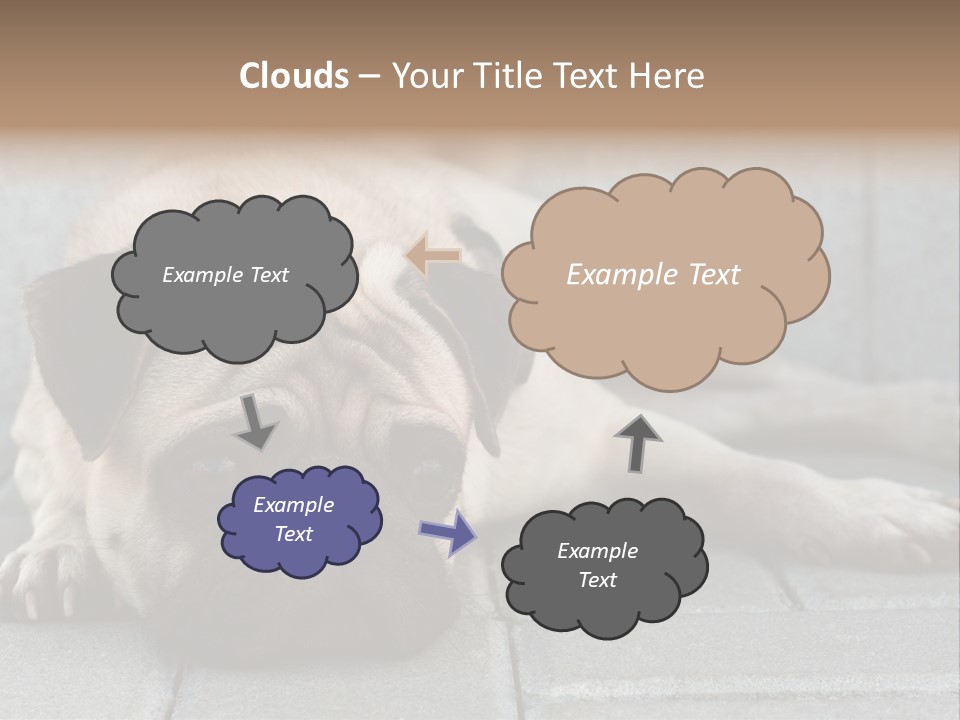 Domestic One Sitting PowerPoint Template