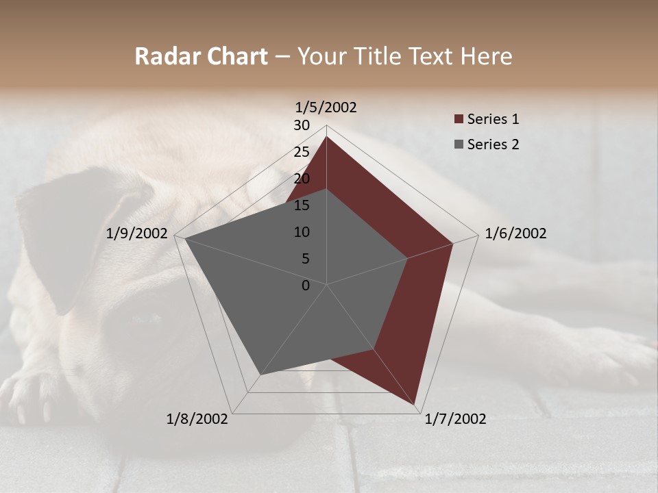 Domestic One Sitting PowerPoint Template