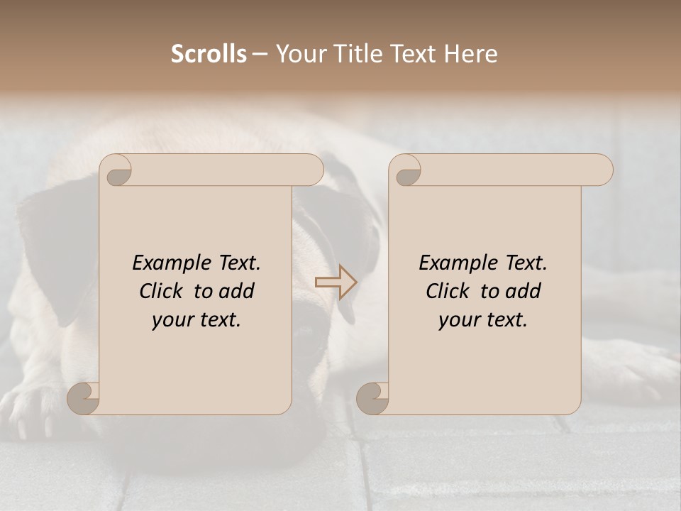 Domestic One Sitting PowerPoint Template
