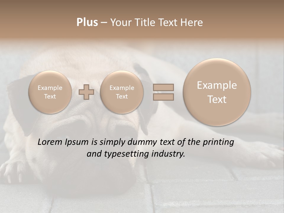 Domestic One Sitting PowerPoint Template