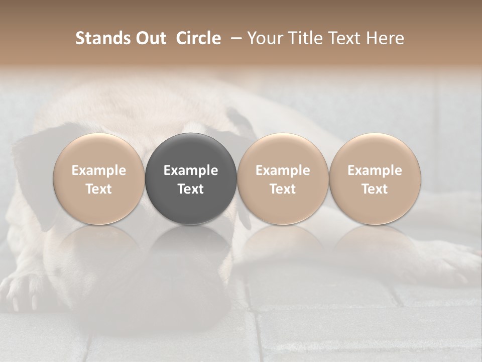 Domestic One Sitting PowerPoint Template