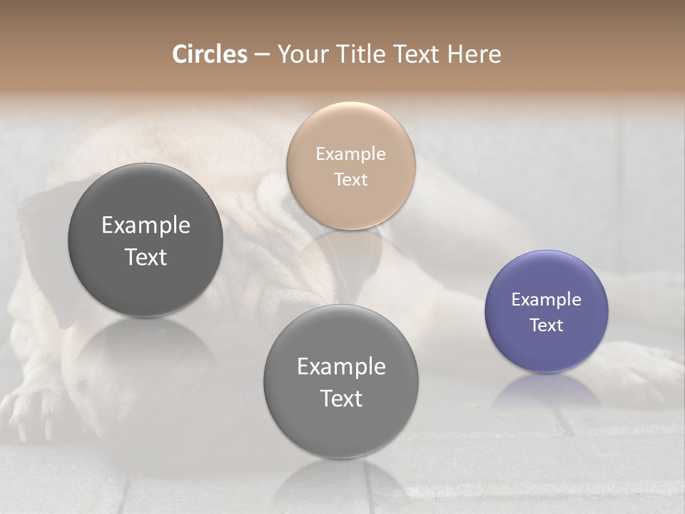 Domestic One Sitting PowerPoint Template