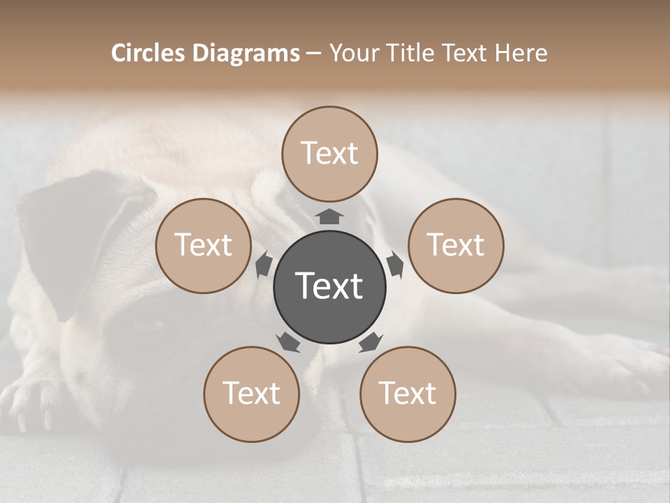 Domestic One Sitting PowerPoint Template